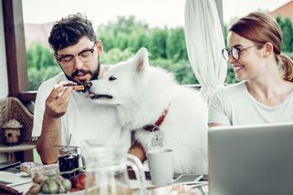 Čím nevědomky ubližujete svým psům? - Proženy.cz